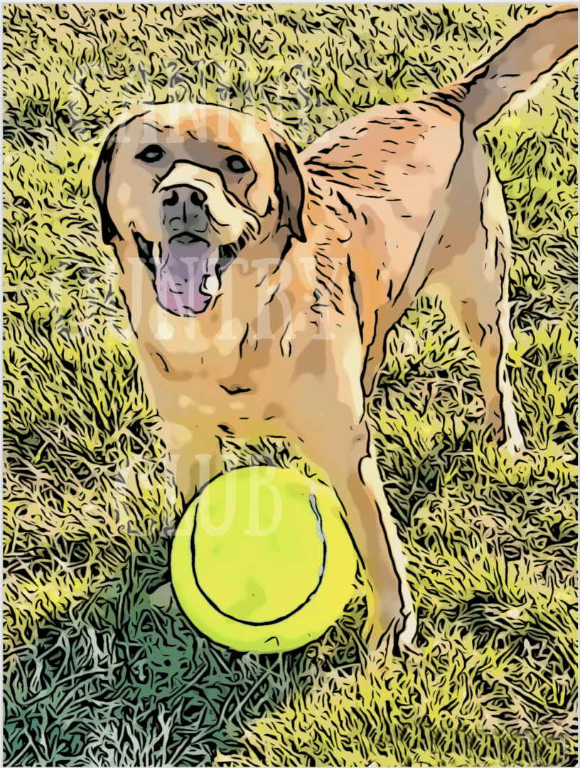 A dog with its tongue hanging out holding a frisbee.