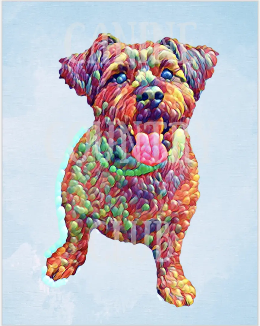 A colorful dog is standing on its hind legs.