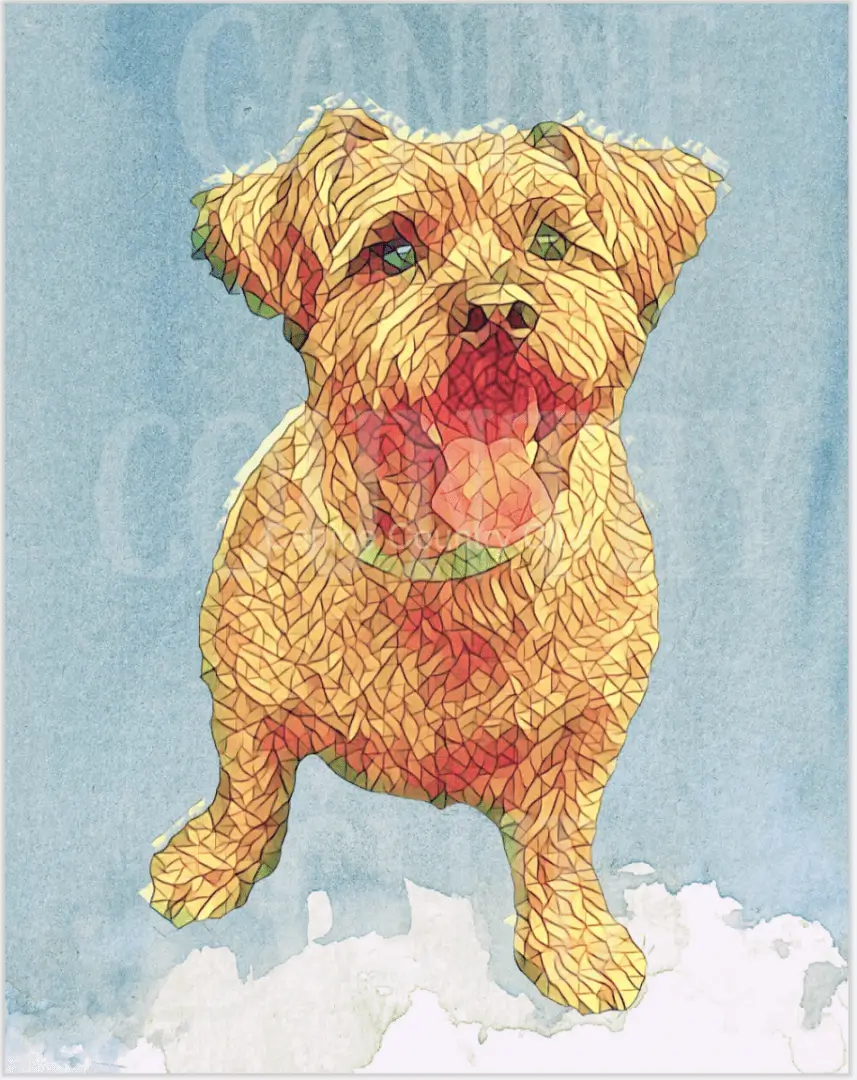 A dog that is standing up in the air.