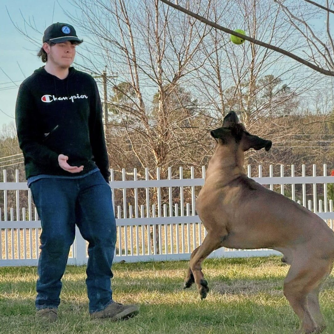 Young man playing fetch with large dog